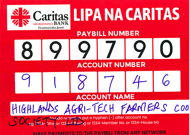 Payment Instructions